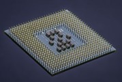 体育技能评价表，科学评估与提升运动表现的利器