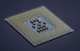 体育技能评价表，科学评估与提升运动表现的利器
